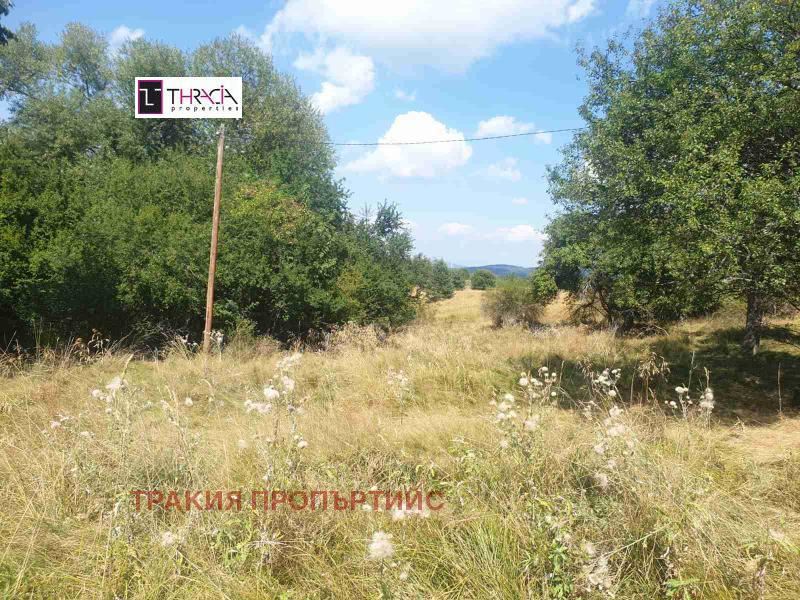 Парцел в с.Плана, София, Оферта №466